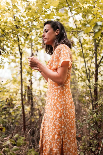 Odkryty Portret Pięknej Brunetki Noszącej Sukienkę Lesie — Zdjęcie stockowe