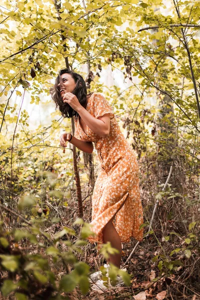 Retrato Livre Uma Bela Mulher Morena Vestindo Vestido Floresta — Fotografia de Stock