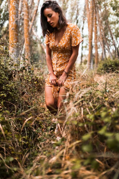 Retrato ao ar livre de uma bela mulher morena vestindo um vestido na floresta — Fotografia de Stock