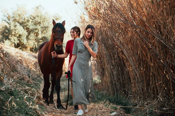 Duas mulheres amigas conversando e dando um passeio com seu cavalo pelo campo — Fotografia de Stock