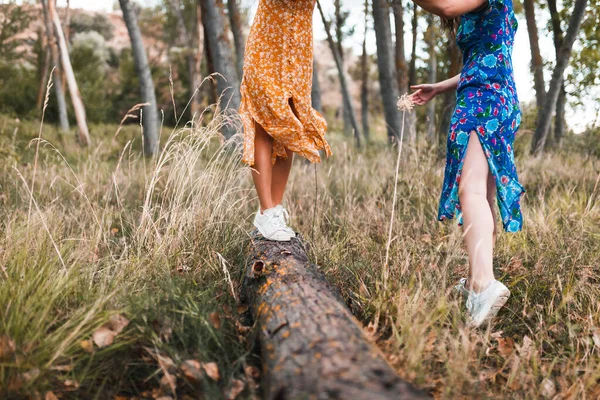 Para lesbijek przechadza się po upadłym drzewie — Zdjęcie stockowe