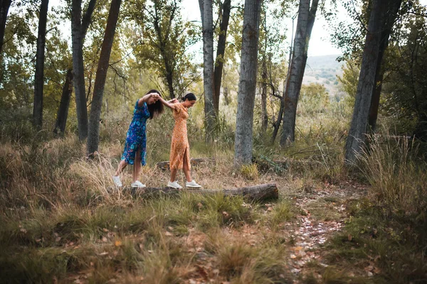 Un paio di lesbiche che camminano su un albero caduto — Foto Stock