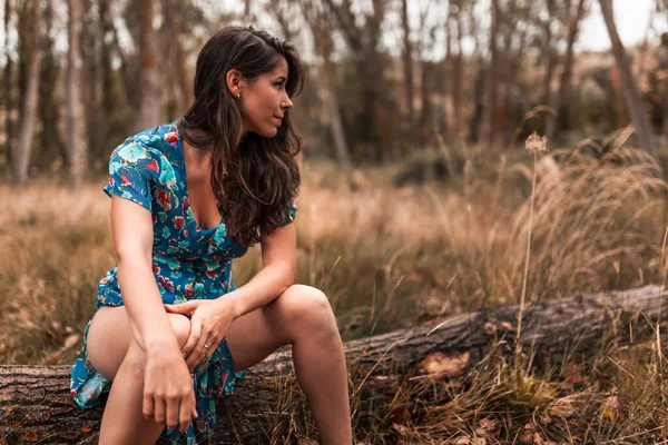 Odkryty portret pięknej brunetki, ubranej w sukienkę, siedzącej w pniu w lesie — Zdjęcie stockowe