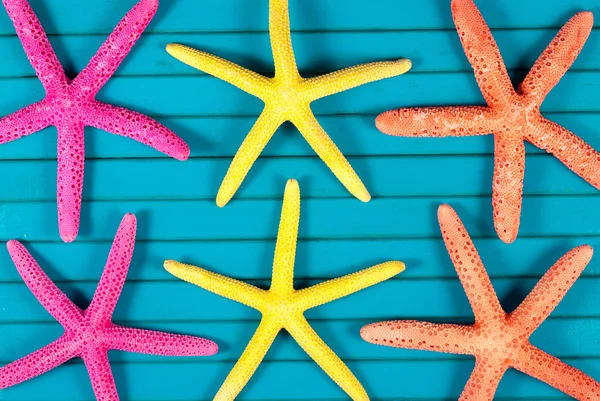 Sea stars. — Stock Photo, Image