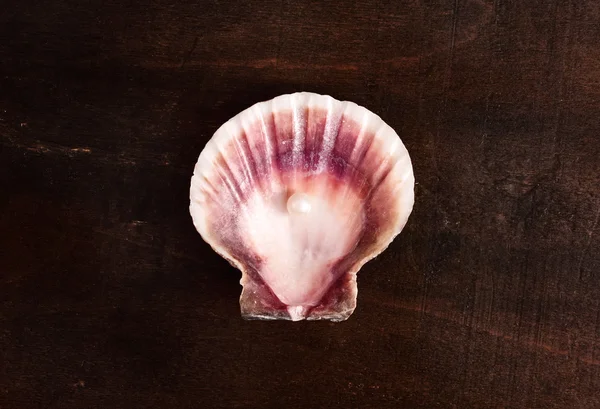 Clam with pearl. — Stock Photo, Image