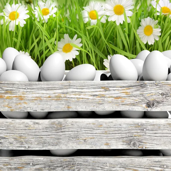 Huevos blancos en contenedor de madera con flores y hierba — Foto de Stock