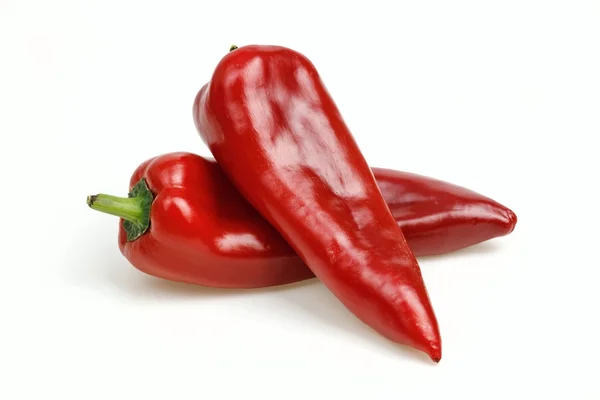 Dua paprika merah runcing, pada latar belakang putih . — Stok Foto