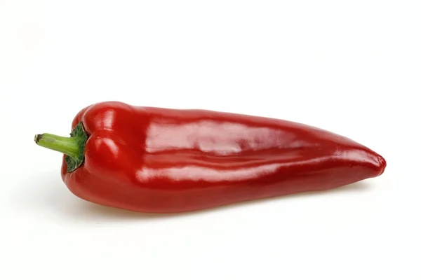 Pointy red pepper, on white background. — Stock Photo, Image