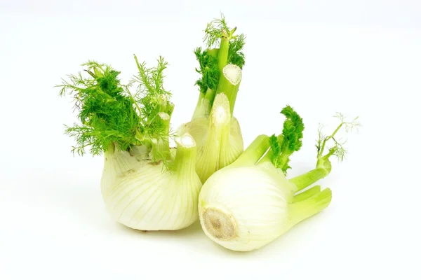 Three fennel bulbs, on white background. — Stock Photo, Image