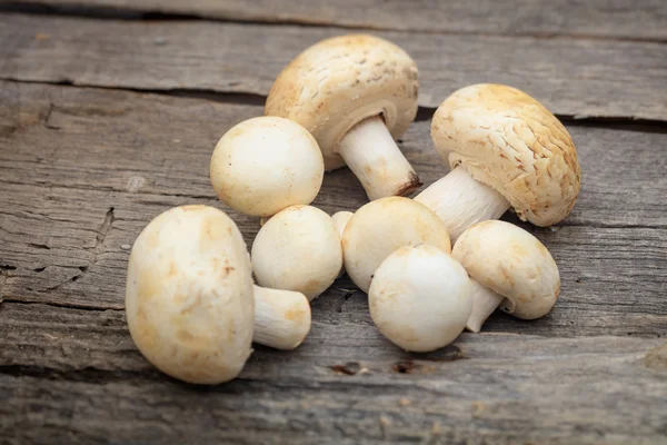 Stack of white button mushrooms, on wooden surface — Stock Photo, Image