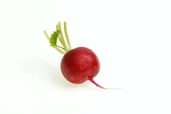 Bolbo de rabanete vermelho, sobre fundo branco . — Fotografia de Stock