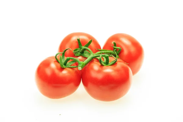 Ramo de tomates con tallo, sobre fondo blanco . — Foto de Stock