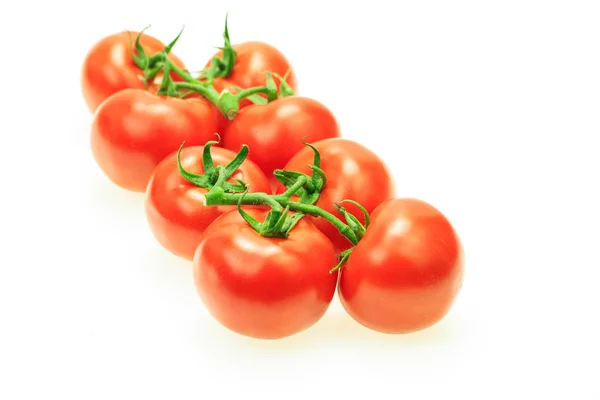 Ramo de tomates con tallo, sobre fondo blanco . — Foto de Stock