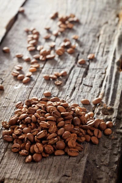 Raw coffee beans — Stock Photo, Image