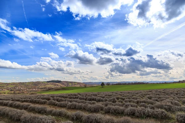 Alanları mavi gökyüzü ve clounds — Stok fotoğraf