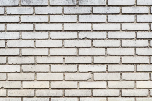 Textura de pared de ladrillo blanco —  Fotos de Stock