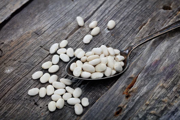 Navy beans on spoon, on wooden surface. — Stock Photo, Image