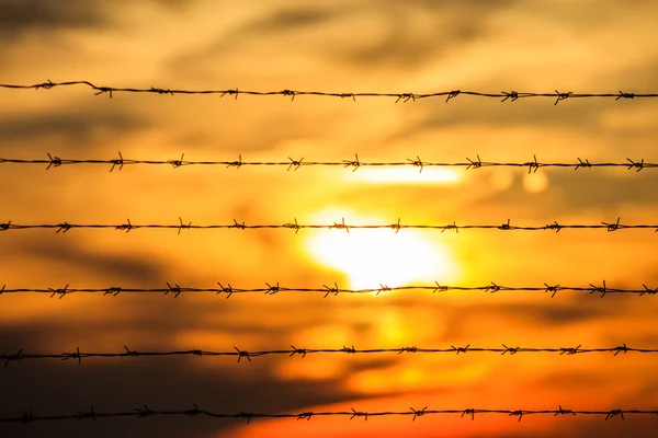Barbed wire against of bright sunlight — Stock Photo, Image