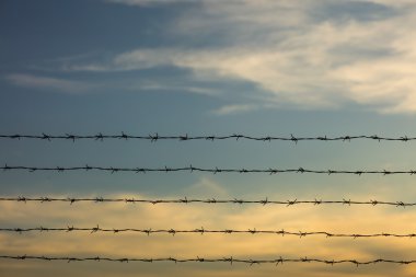 Ön plan üzerinde tel ile bulutlu gökyüzü akşam üzerinde pastoral görünümü