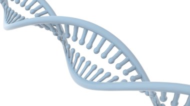 DNA çift sarmalı, beyaz arka plan üzerinde. 3D render