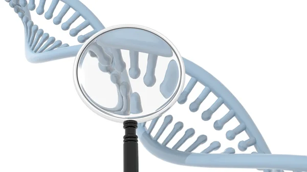 Dvojité šroubovice DNA s lupou, na bílém pozadí. 3D vykreslování — Stock fotografie