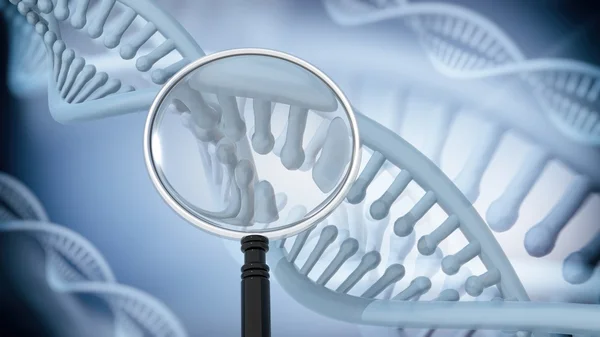 Dvojité šroubovice DNA s lupou. 3D vykreslování — Stock fotografie