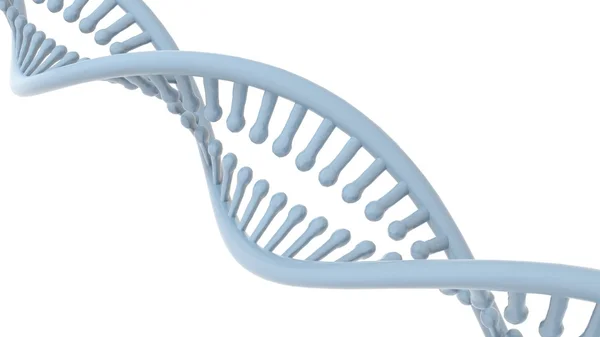 Dvojité šroubovice DNA, na bílém pozadí. 3D vykreslování — Stock fotografie