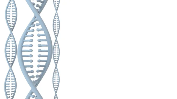 DNA Double Helix, sobre fundo branco. Renderização 3D — Fotografia de Stock