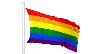 3d render gökkuşağı renkleri bayrak sallayarak