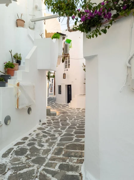 Traditionella Vitkalkade Stenmursbyggnader Med Bougainvillea Växter Krukor Stenhus Tomma Smala Stockbild