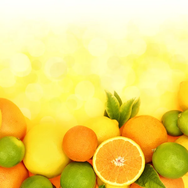 Frische Zitrusfrüchte im glänzenden Hintergrund — Stockfoto