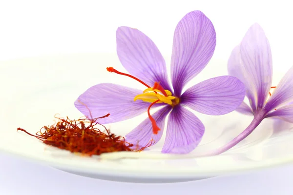 Close up van saffraan bloem en gedroogde saffraan spice — Stockfoto