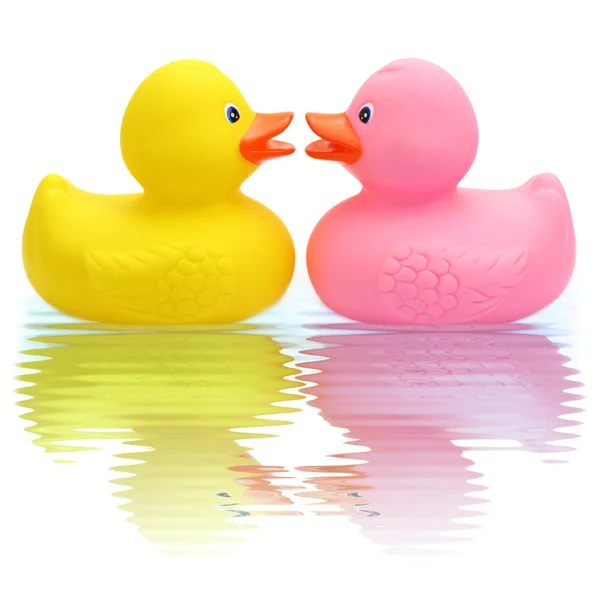 Rubber duck verliefde paar — Stockfoto