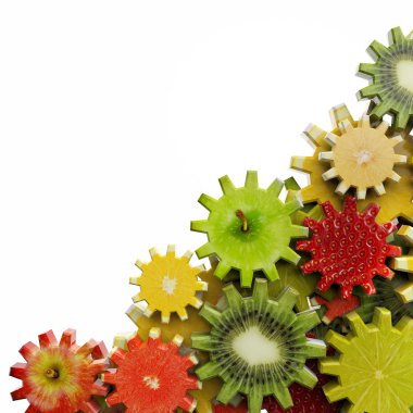 Gears made of fruit slices on white background