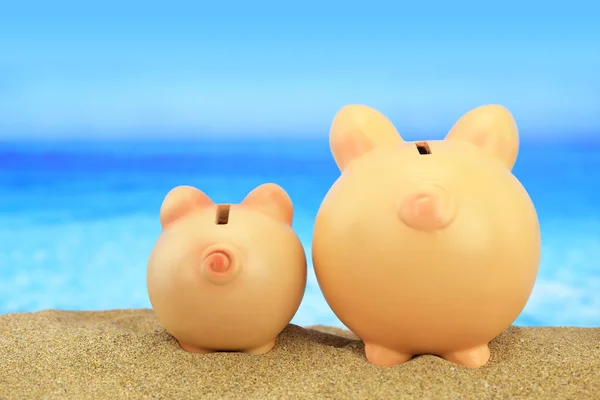 Twee piggy banken op het strand kijken naar de zee — Stockfoto