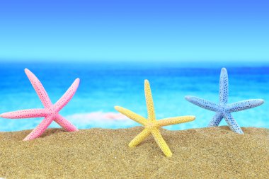 Bir mavi ufuk önünde sahilde renkli starfishes