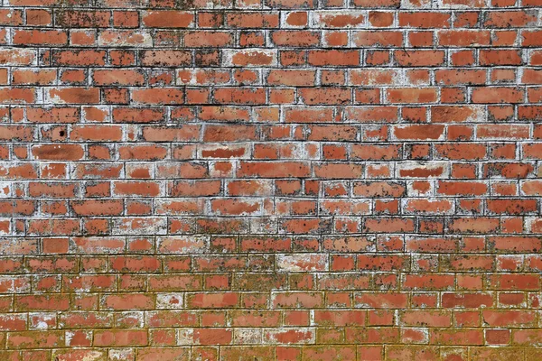 Gammal väderbiten tegelvägg bakgrund — Stockfoto