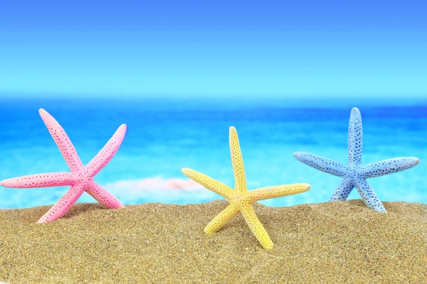 Kleurrijke zeesterren op het strand voor een blauwe horizon — Stockfoto