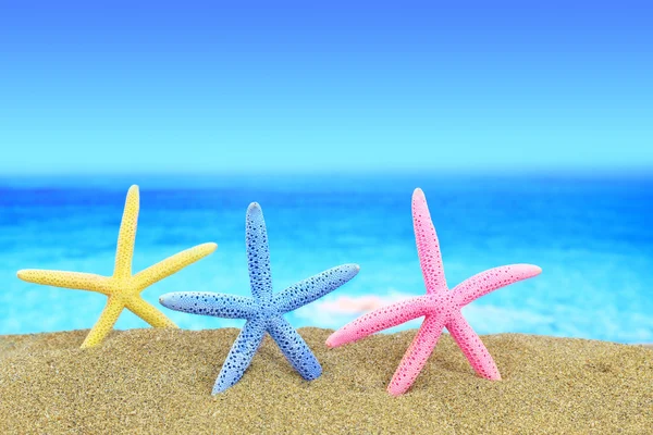 Coloridas estrellas de mar en la playa frente a un horizonte azul —  Fotos de Stock