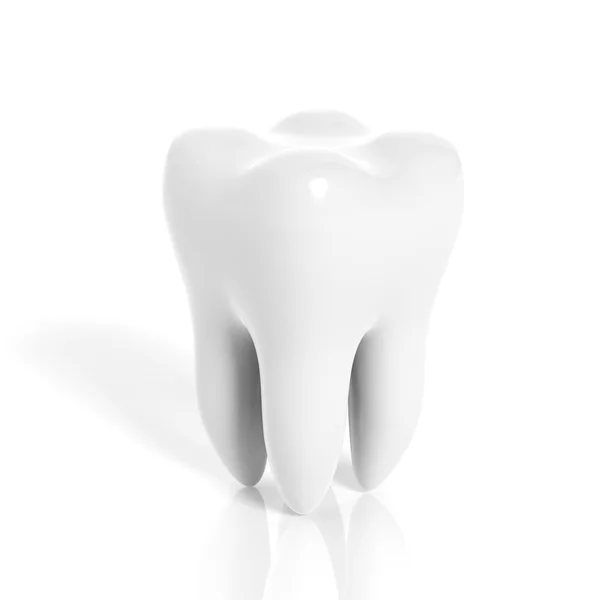 Dente molar isolado no fundo branco — Fotografia de Stock