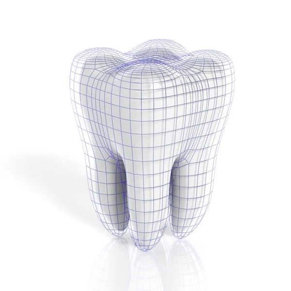 Dente com grade virtual isolado no fundo branco — Fotografia de Stock