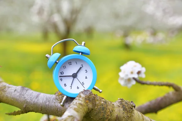 An alarm clock on a branch of a tree, nature background — Stock Photo, Image