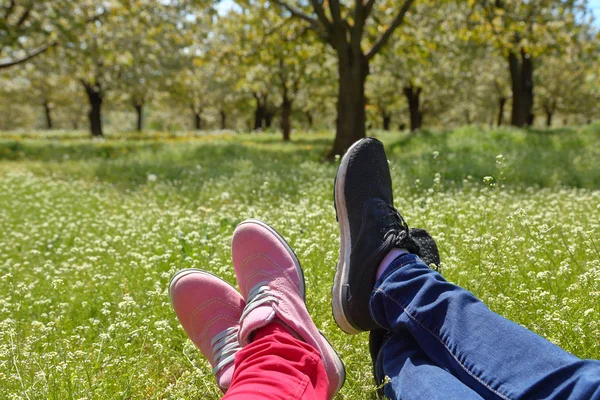 Voeten in schoenen van een paar op groene veld met bloemen — Stockfoto