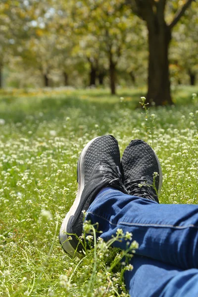 Voeten in schoenen op groene veld met bloemen — Stockfoto