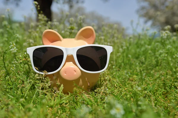 Piggy bank met zonnebril buiten in de natuur, close-up achtergrond — Stockfoto