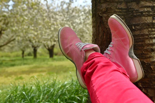 Voeten in roze schoenen op groene veld met bloemen en bomen — Stockfoto