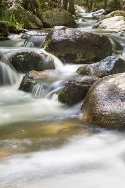 川の流れる水の自然風景 — ストック写真