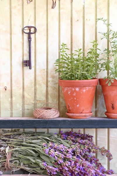 Bando de sábio e panela com ervas na frente de uma parede velha — Fotografia de Stock