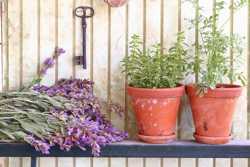 Bunch of sage and pots with herbs in front of an old wall