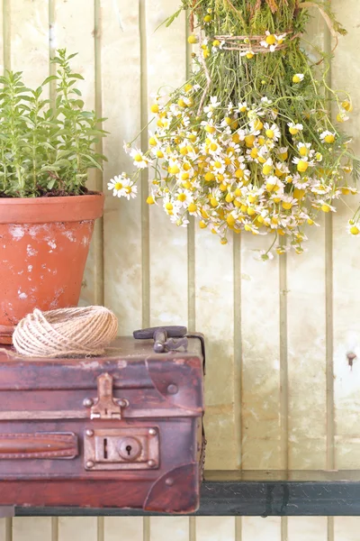 Bodegón con hierbas y flores de fondo retro — Foto de Stock